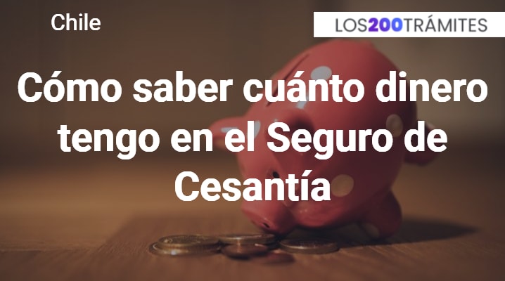 Cómo saber cuánto dinero tengo en el Seguro de Cesantía