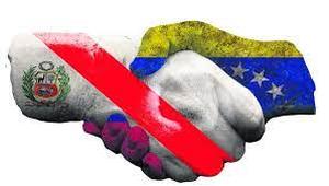 Planilla de Registro Consular de Venezolanos en Perú 5