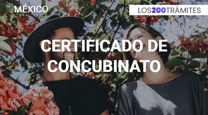 Certificado de Concubinato			 			